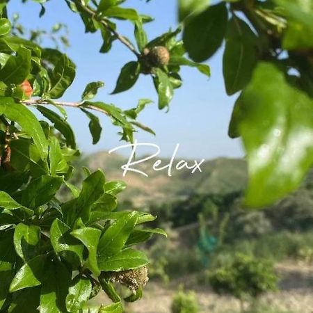 Casa Vacanze Sicilia Casteltermini Eksteriør bilde
