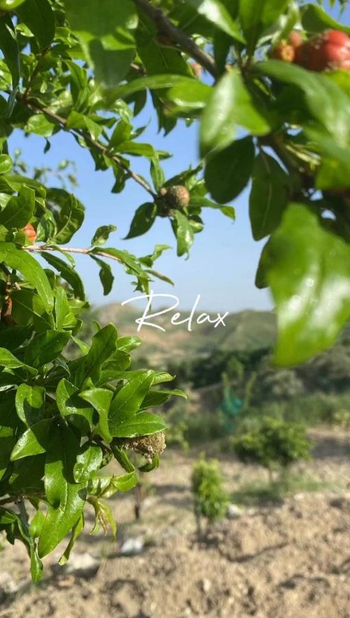 Casa Vacanze Sicilia Casteltermini Eksteriør bilde