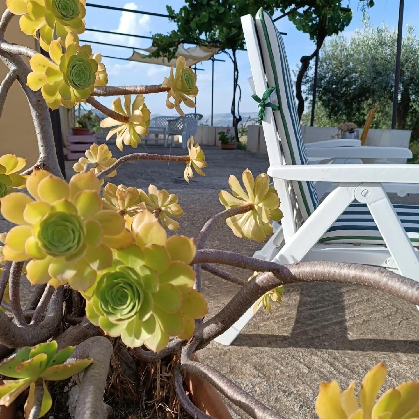 Casa Vacanze Sicilia Casteltermini Eksteriør bilde